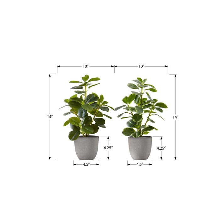 Artificial Ficus Elastica Plant (Set of 2)