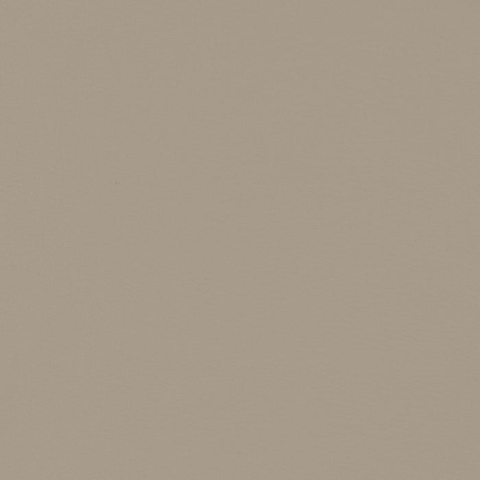 Elegant Padded Side Chair (Set Of 2)