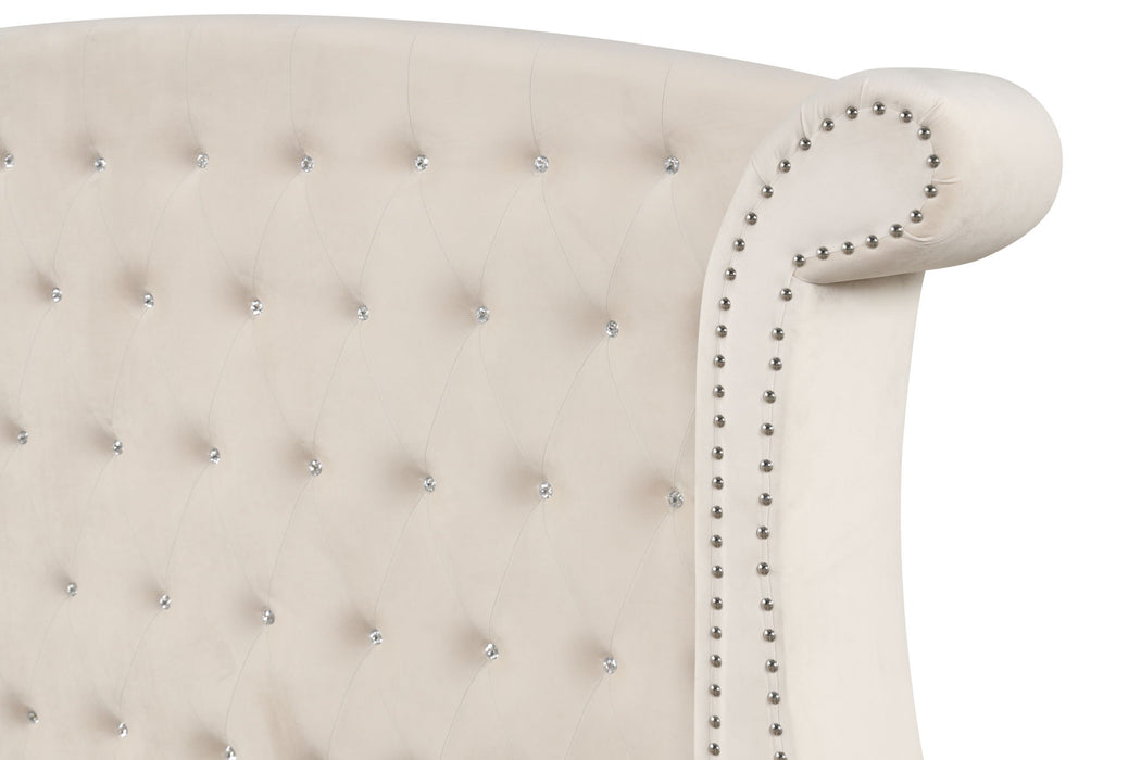 Sophia - Upholstered Bed