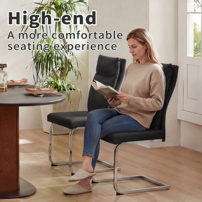 Modern Dining Chair SetWith Soft Cushion Backrest (2 Pieces)