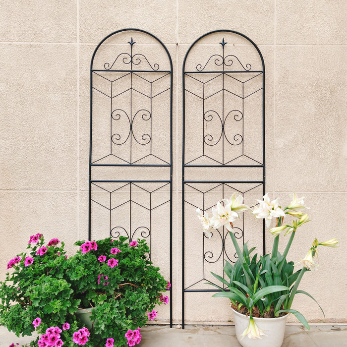 Garden Trellis, Rustproof Support For Climbing Plants