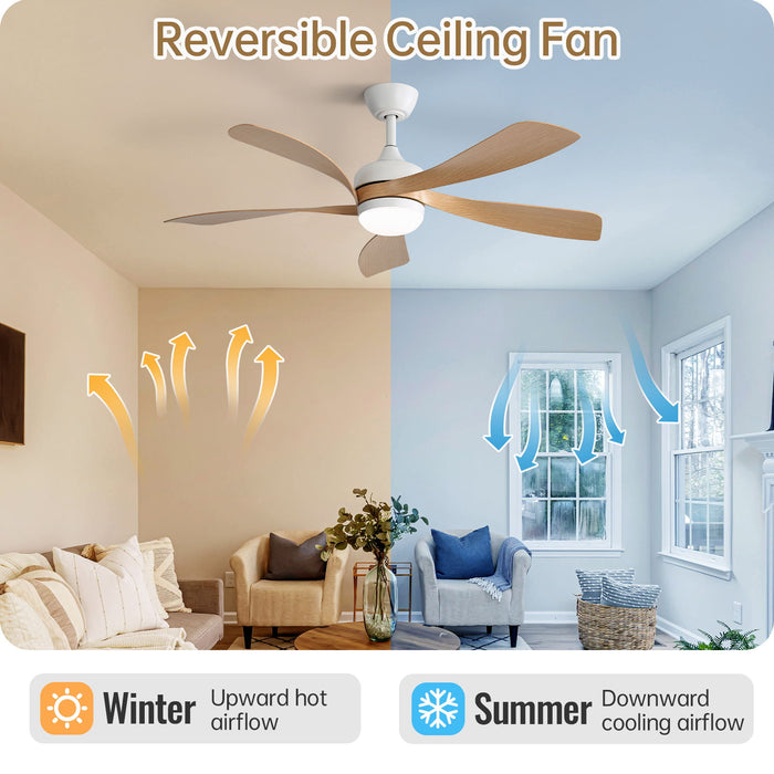 Ceiling Fan & DC Motor And Integrated Light