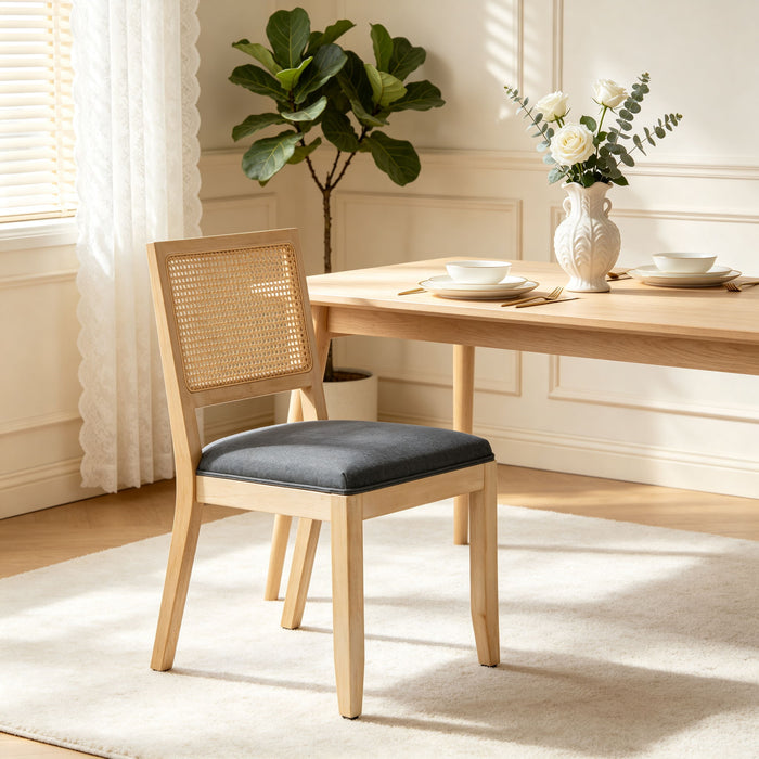 Kitchen & Dining Room Chairs (Set of 2)