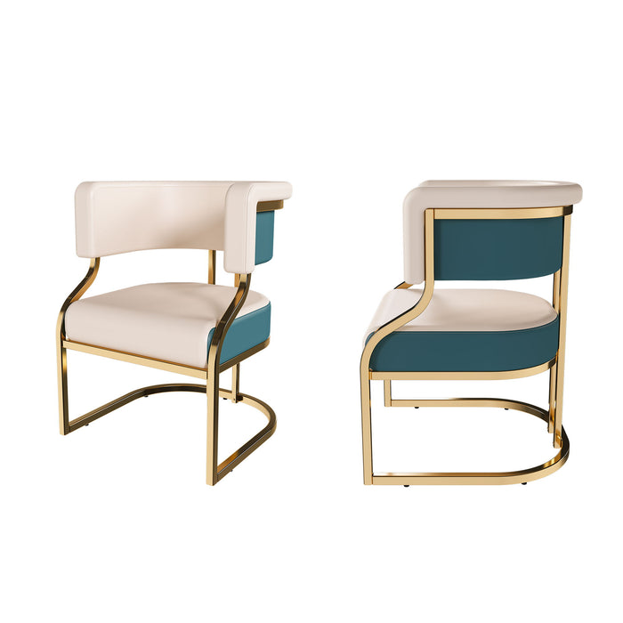 Dining Chairs Ergonomic Curved Backres (Set of 2) - Blue / Neutral