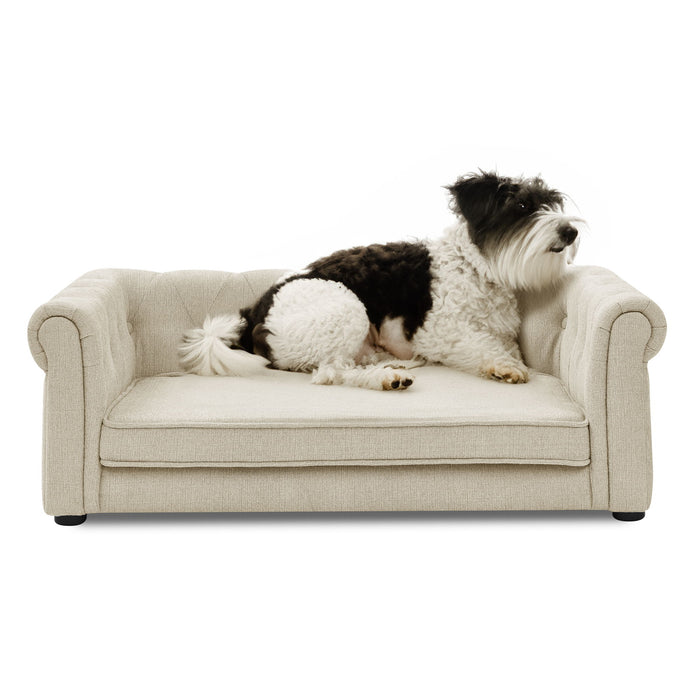 Modern Elegant Rectangle Pet Bed, Durable Elevated Dog Sofa