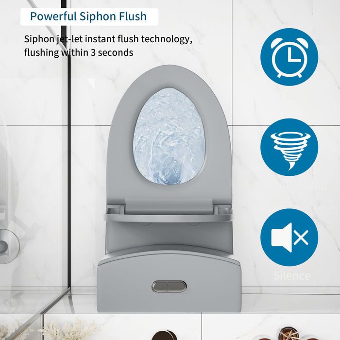 1 Piece Toilet With Tornado Flush, Dual Flush, And ADA Height Comfort Chair