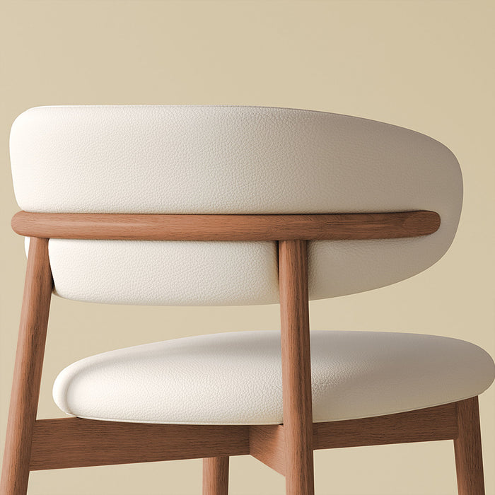 Mid-Century Modern Dining Chair (Set of 2)
