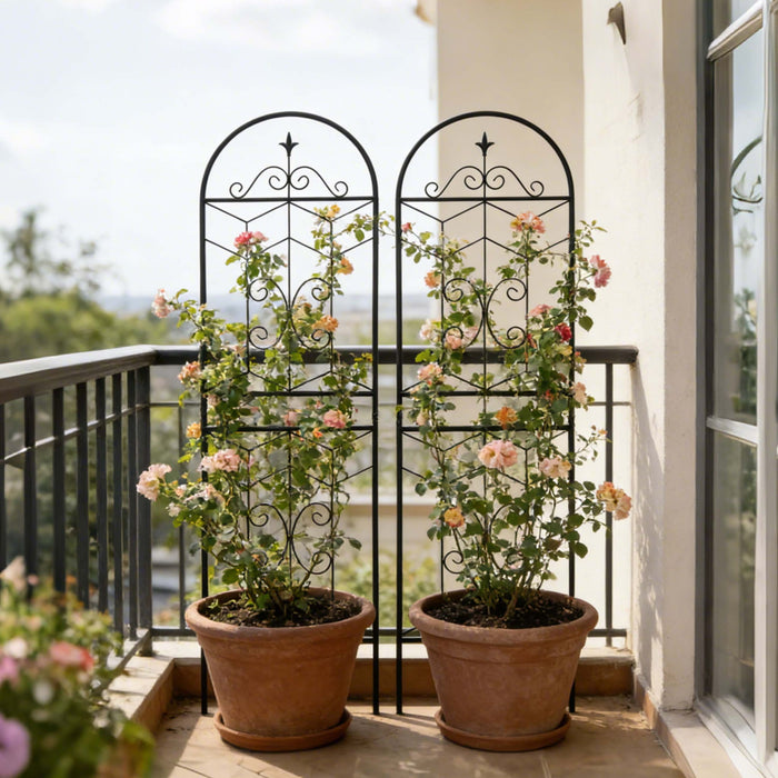 Garden Trellis, Rustproof Support For Climbing Plants
