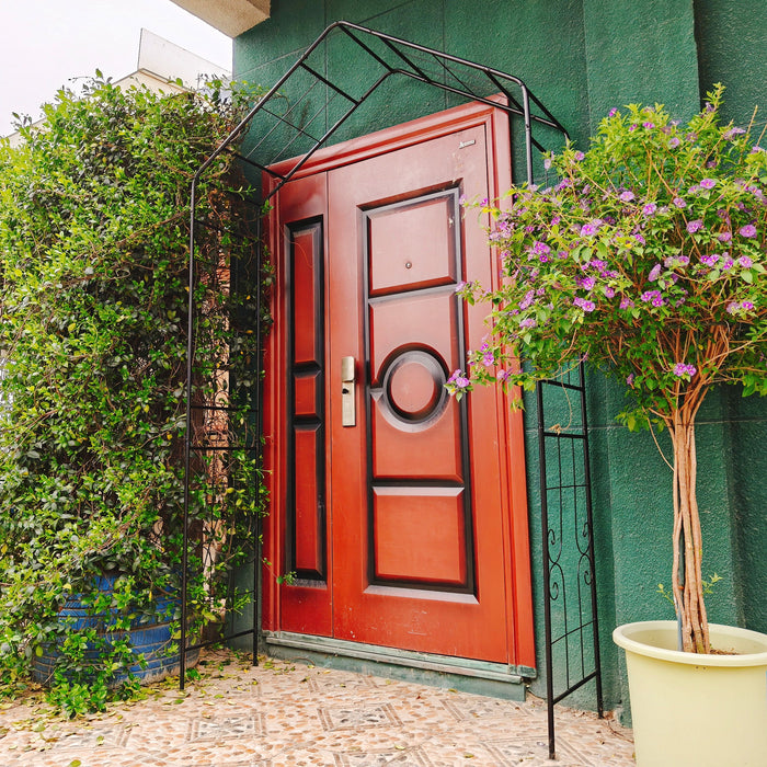Garden Arch, Climbing Plants Support Outdoor - Black