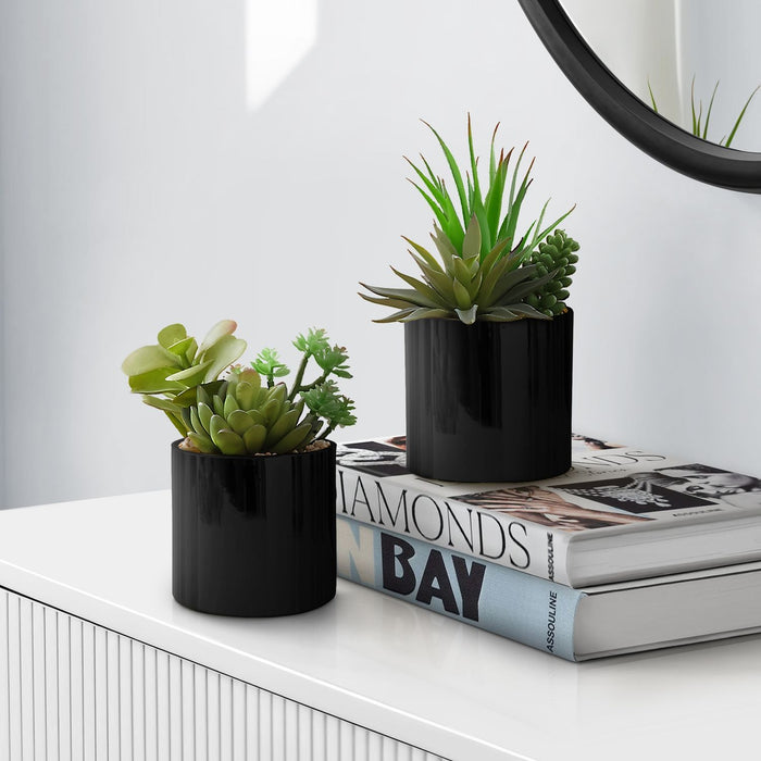 Artificial Succulent Plants (Set of 2)