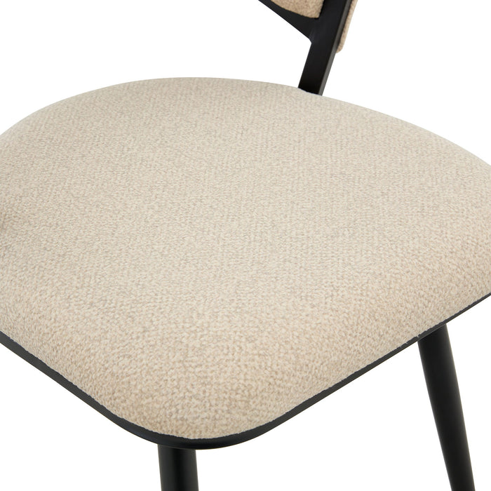 Dining Chairs For Dining Room & Kitchen (Set of 2)