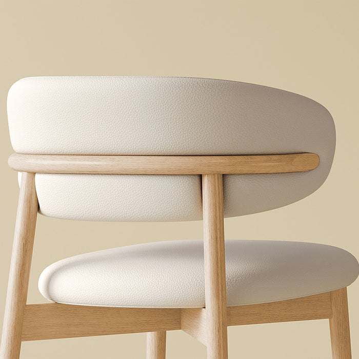 Mid-Century Modern Dining Chair (Set of 2)