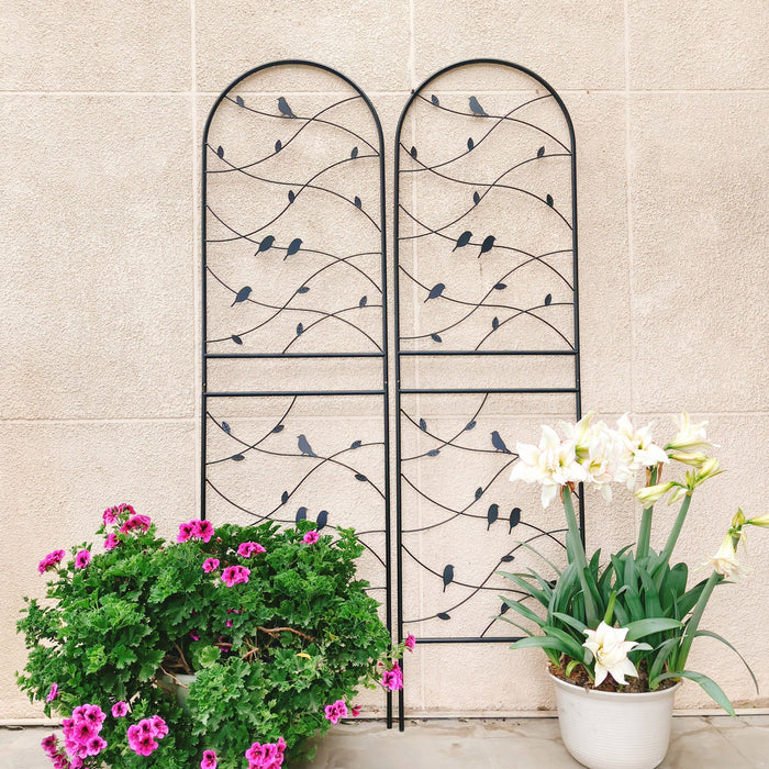 Garden Rustproof Trellis For Climbing Plants