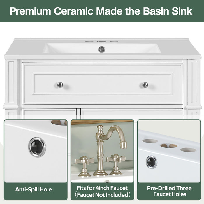 Bathroom Vanity Cabinet With Sink, Soft Close Doors With Door Organizer