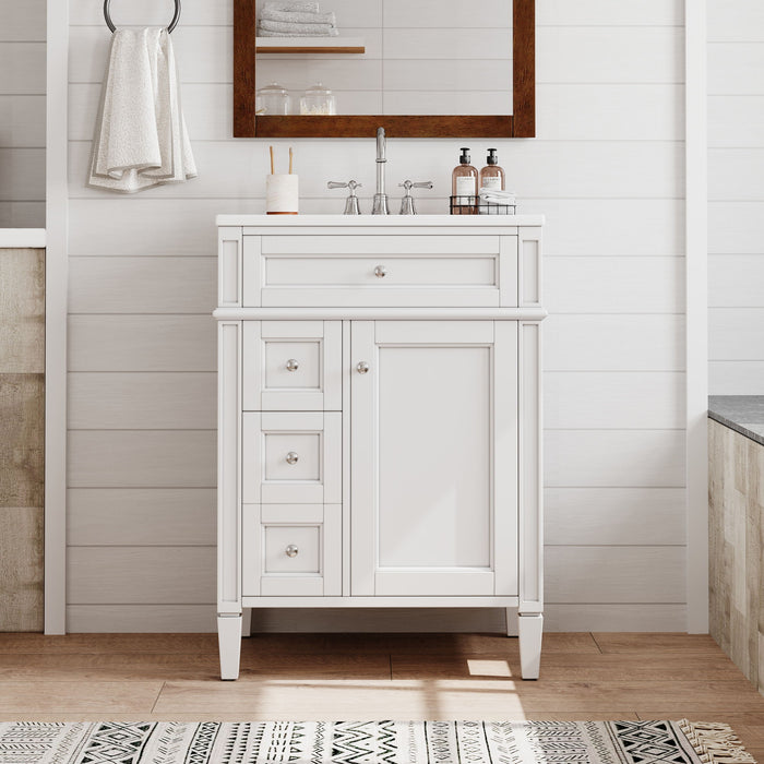 Bathroom Vanity With Top Sink, Storage Cabinet With 2 Drawers And Tip-Out Drawer