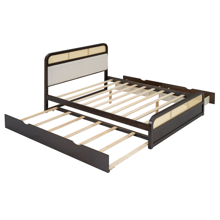 Platform Bed With Trundle And 2 Drawers