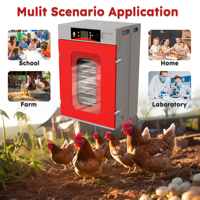 Commercial Egg Digital Cabinet Incubator With Auto Temperature & Humidity Control