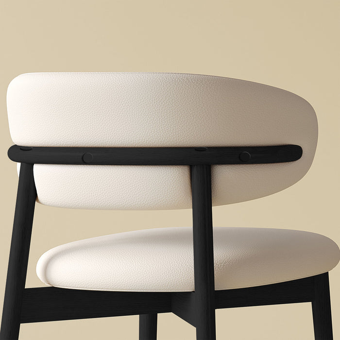 Mid-Century Modern Dining Chair (Set of 2)