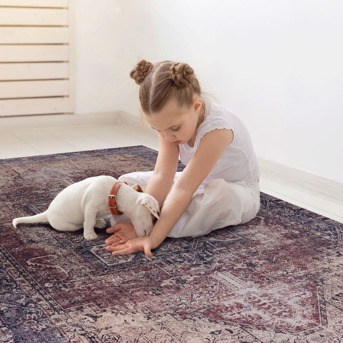 Maval - Unique Washable Area Rug