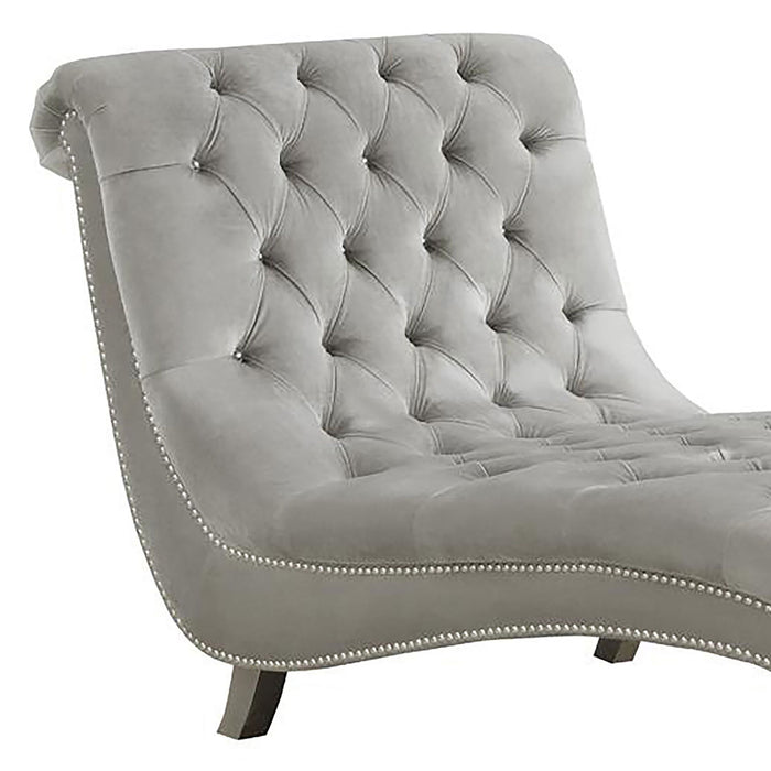 Emilia - Tufted Cushion Chaise With Nailhead Trim Lounge Chair With Accents - Gray