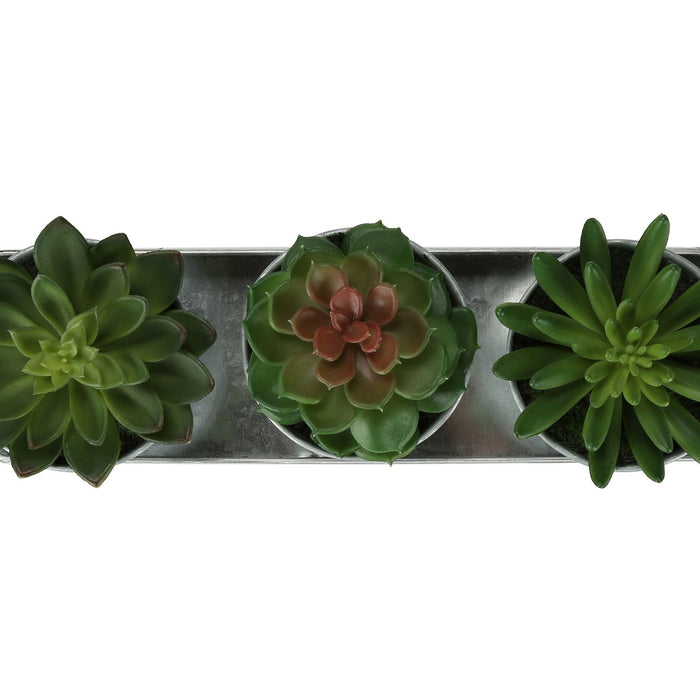Artificial Succulent, Table Decor (Set of 3) - Green