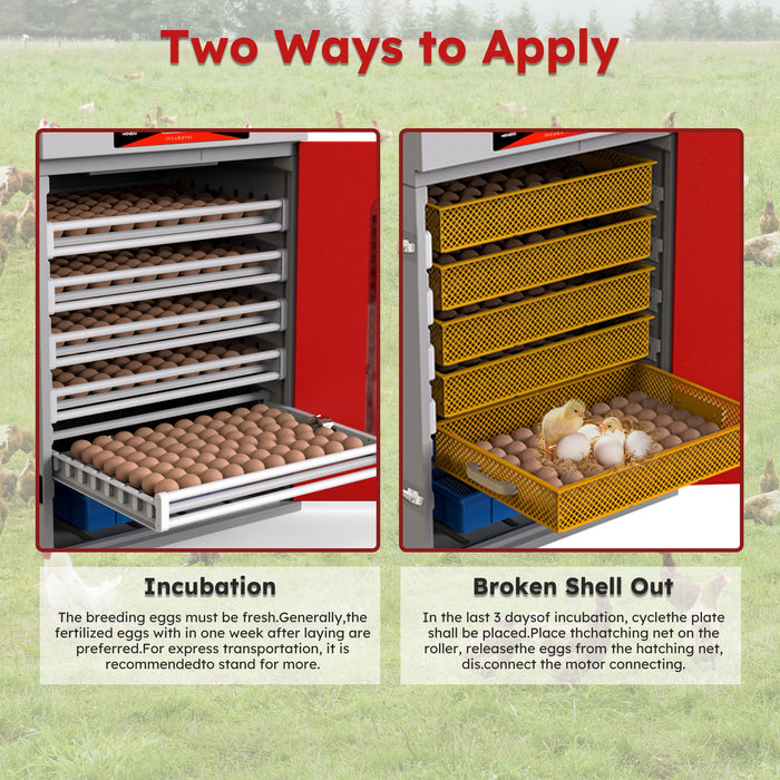 Commercial Egg Digital Cabinet Incubator With Auto Temperature & Humidity Control