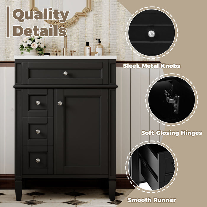 Bathroom Vanity With Top Sink, Storage Cabinet With 2 Drawers And Tip-Out Drawer