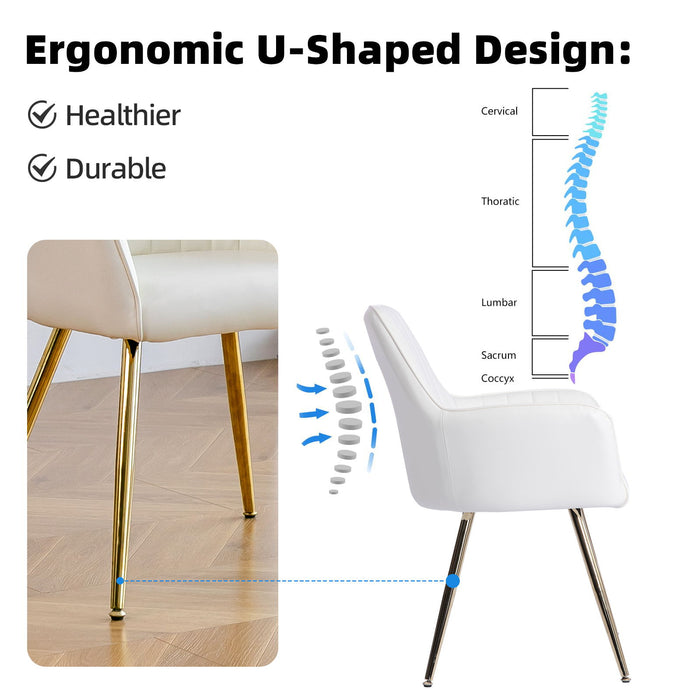 Modern Mid Back Dining Chairs
