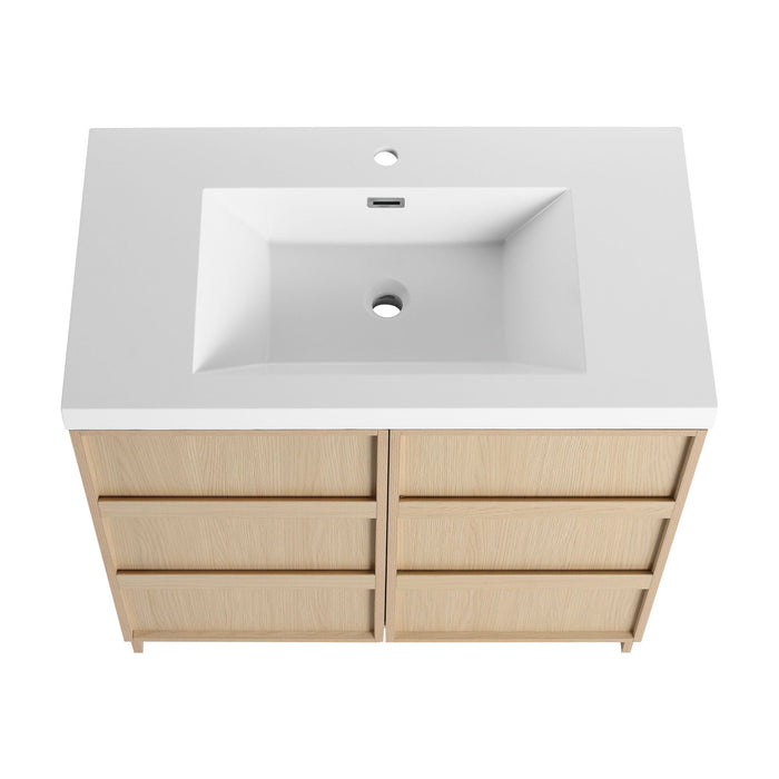Freestanding Bathroom Vanity With Sink & 2 Soft Close Cabinet Doors