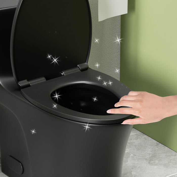 1 Piece Toilet With Dual Flush And Soft Closing Seat