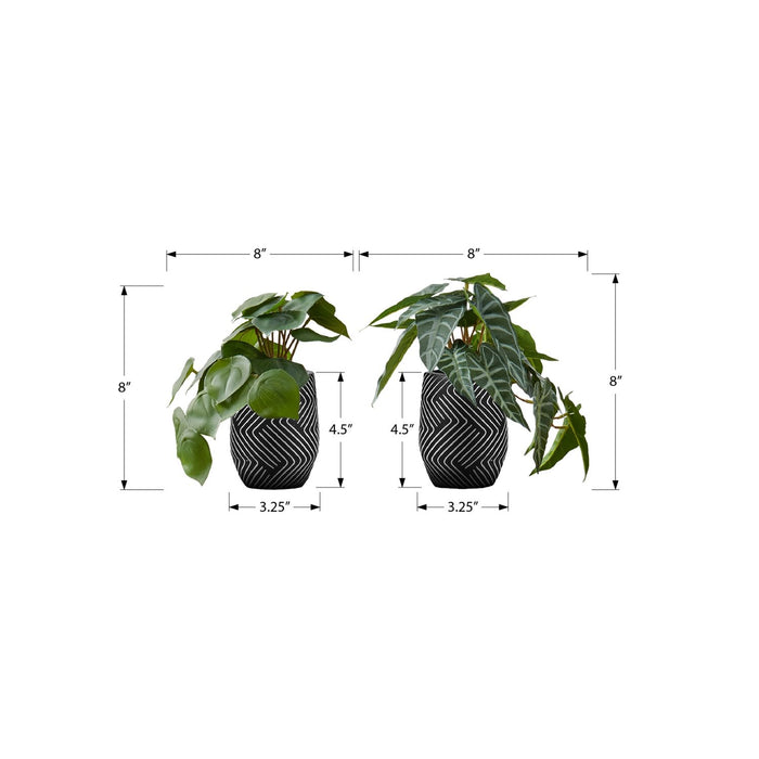 Artificial Alocasia Plant (Set of 2)