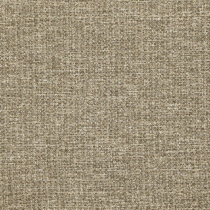 Transitional Dining Chair (Set of 2)