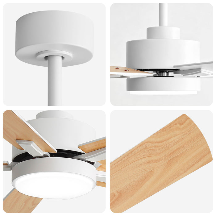 Reversible DC Motor Ceiling Fan With Dimmable LED Light For Living Room