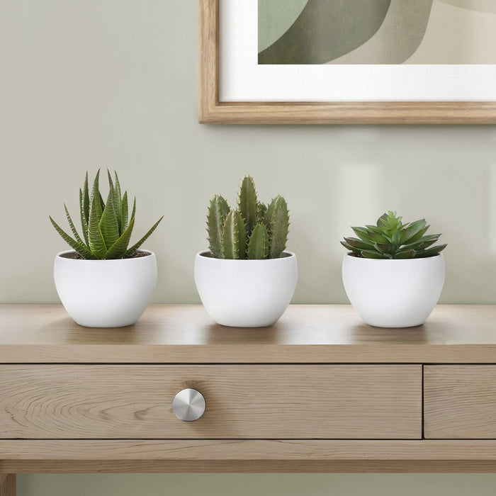 Artificial Succulent Plants (Set of 3)