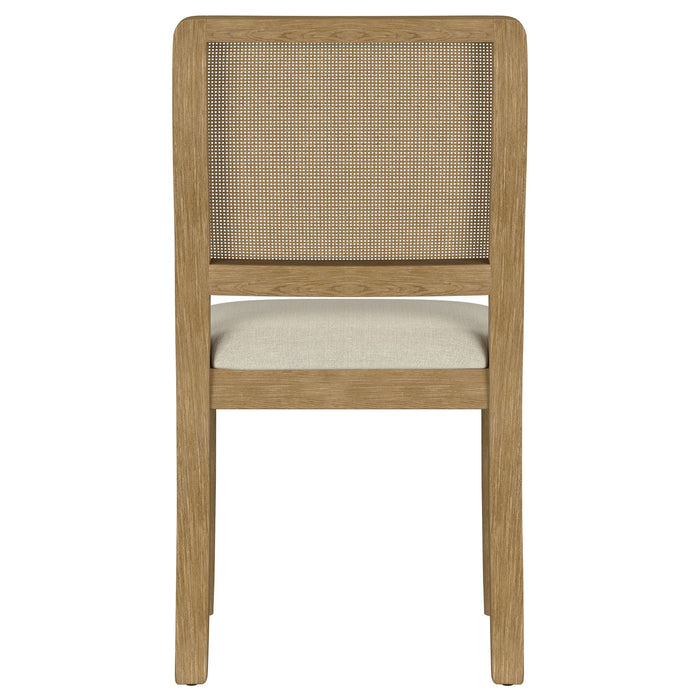 Benson - Dining Side Chair (Set of 2)