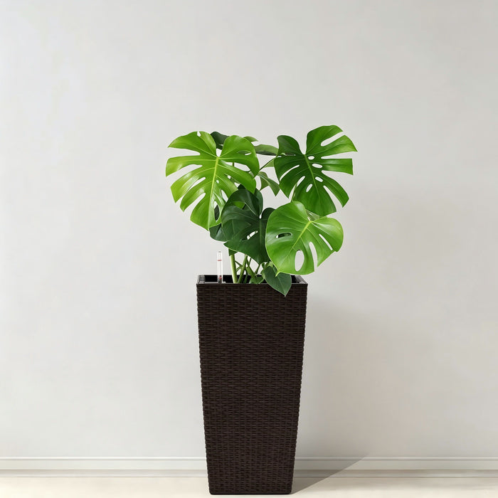 Indoor Outdoor Planter With Automatic Watering System