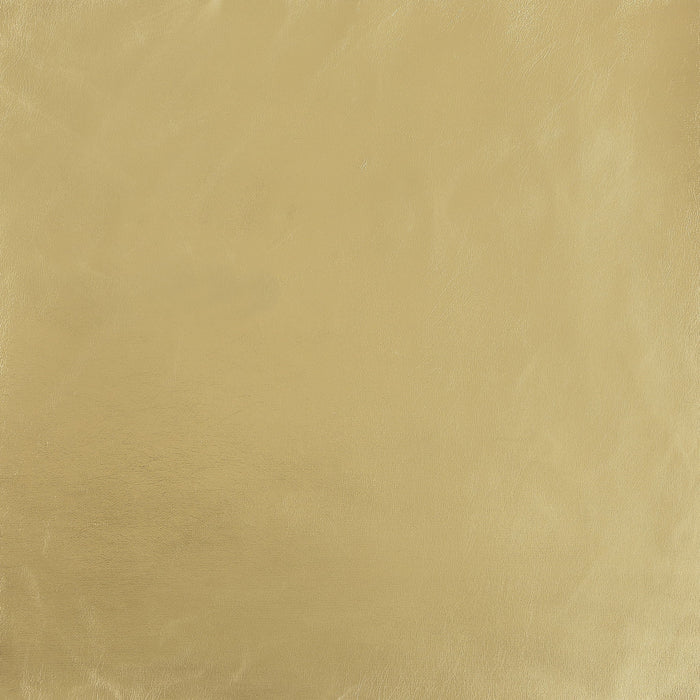 Lorraine - 2 Piece Upholstered Sofa Set With Tufting Trim - Dark Gray