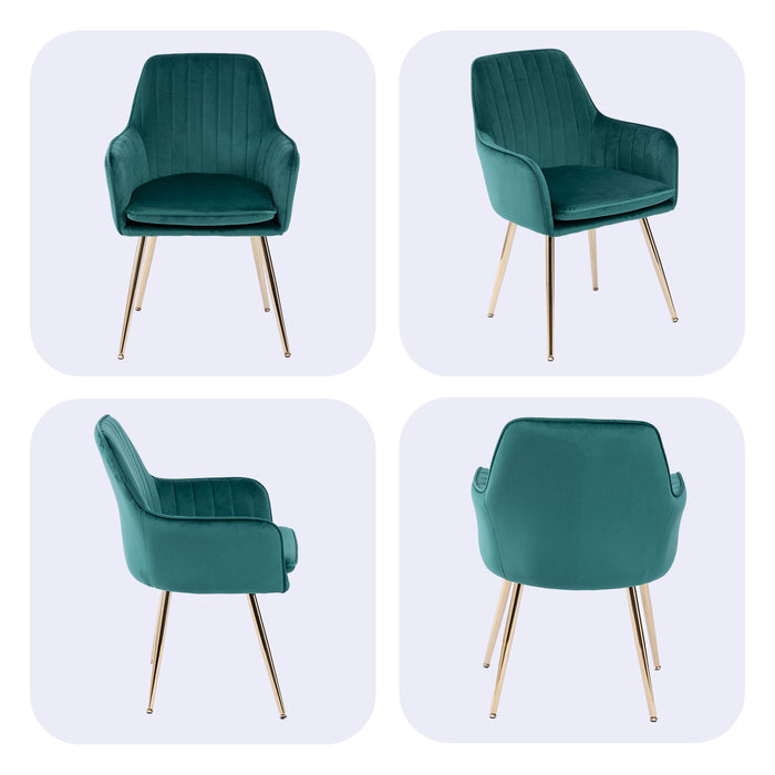 Modern Mid Back Dining Chairs