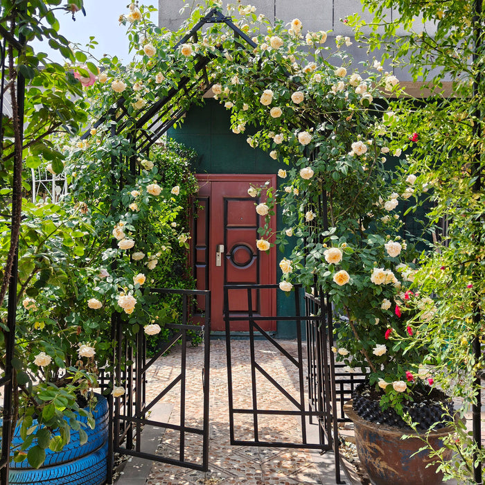 Garden Arch With Gate Climbing Plants Support Outdoor - Black