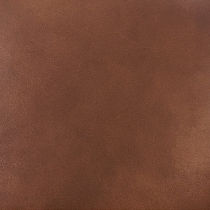 Alvaro - Leather Dining Chair (Set of 2) - Golden Wheat