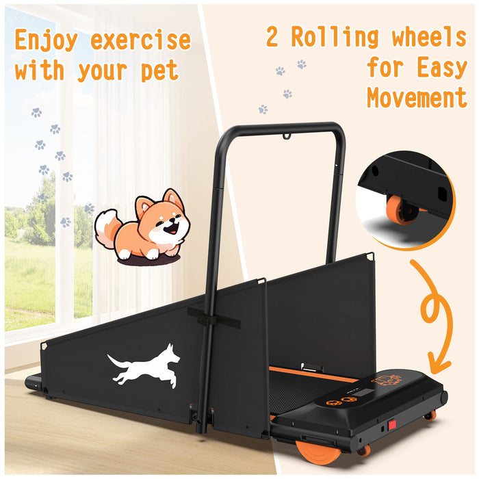 Dog Treadmill For Small To Medium Dogs With LED Display - Black / Orange