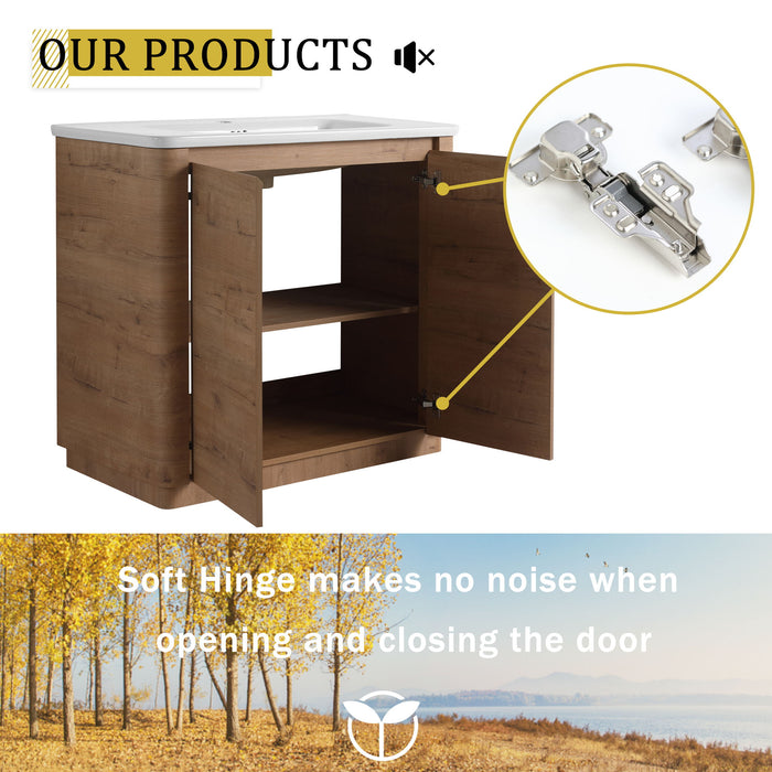 Freestanding Bathroom Vanity With Sink & 2 Soft Close Doors