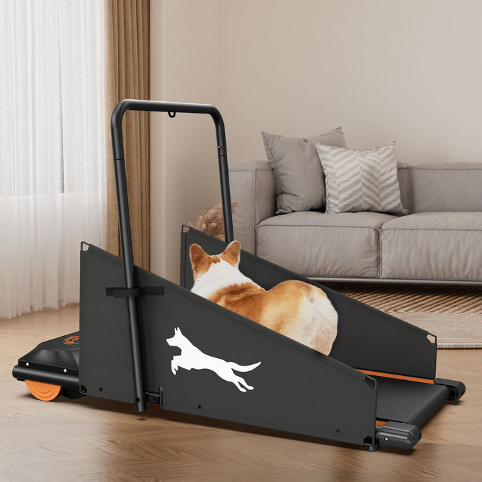 Dog Treadmill For Small To Medium Dogs With LED Display - Black / Orange
