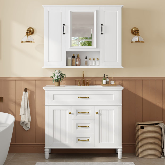 Modern Freestanding Bathroom Vanity With Sink, Cabinet, Soft-Close Drawers, Tip-Out Tray
