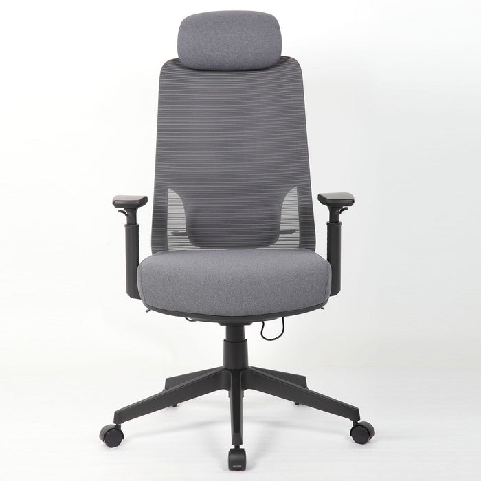 High Back Ergonomic Office Chair With Adjustable Headrest & 5D Armrest, Height Adjustable Swivel For Home Office - Antique Gray
