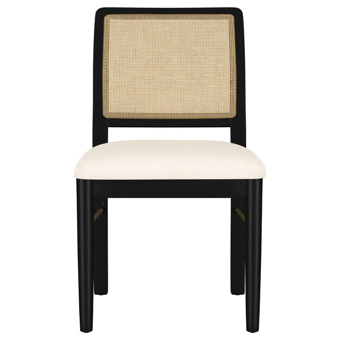 Benson - Dining Side Chair (Set of 2)