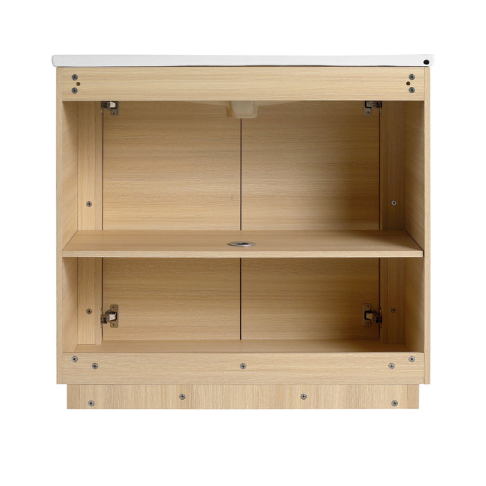 Freestanding Bathroom Vanity With Sink & 2 Soft Close Doors