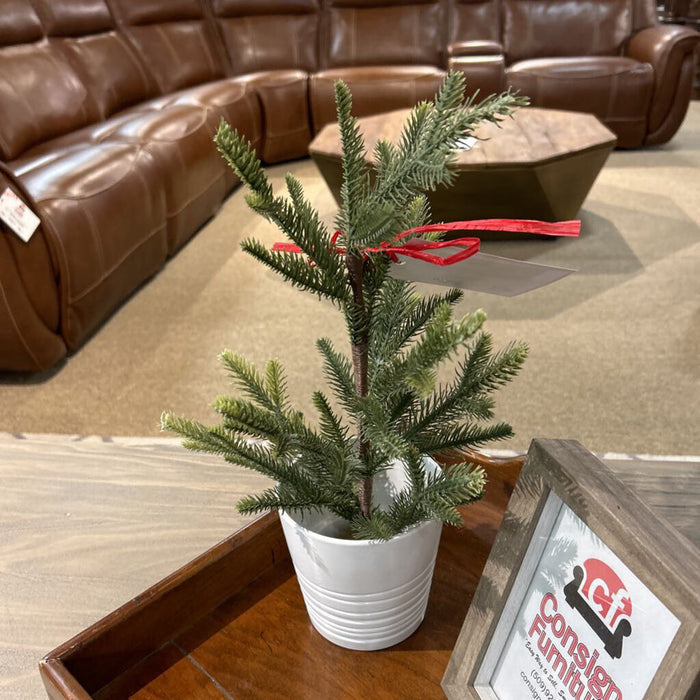 Pine In Pot Decor
