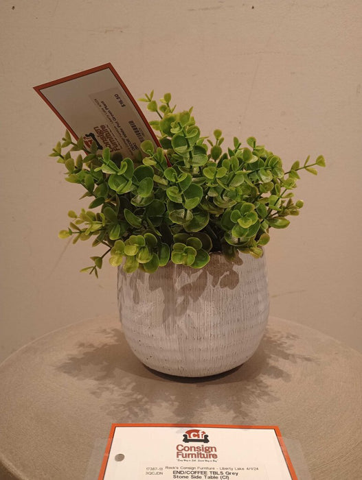 White Pot Green Plant