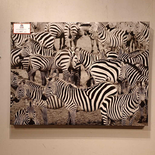 Zebra Print (LC)